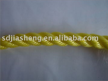 聚乙烯绳、聚丙烯绳及金属丝绳制品 山东泰佳塑料制品厂的产品与制造概述